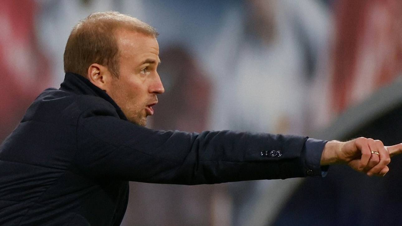 Hoffenheim zum Abschluss ohne Zwölf