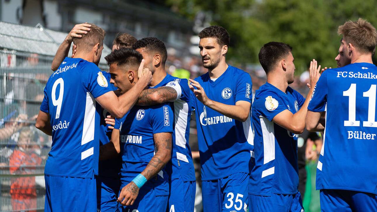 Neuzugänge lassen Schalke jubeln