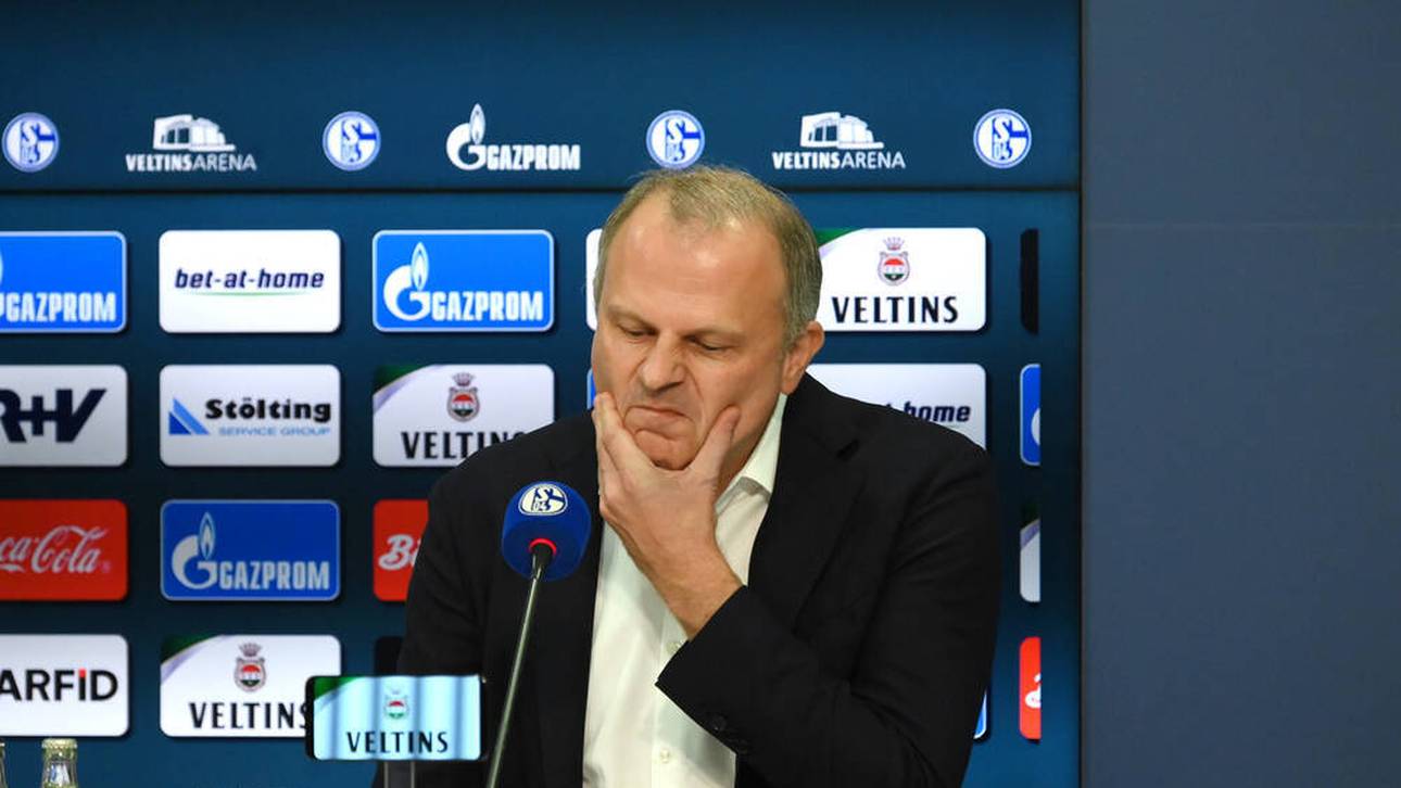 Schalke-Beben: Das sagt Schneider