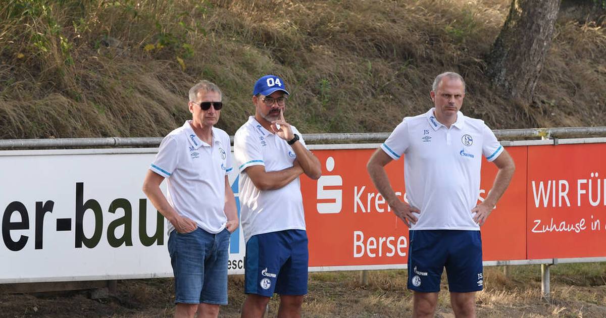 Diese Konsequenzen wären von Trainer David Wagner ausgeschlossen worden