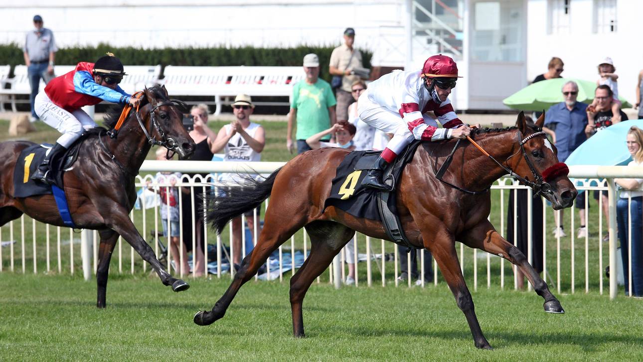 Erfolg für Pferdebesitzer Horn