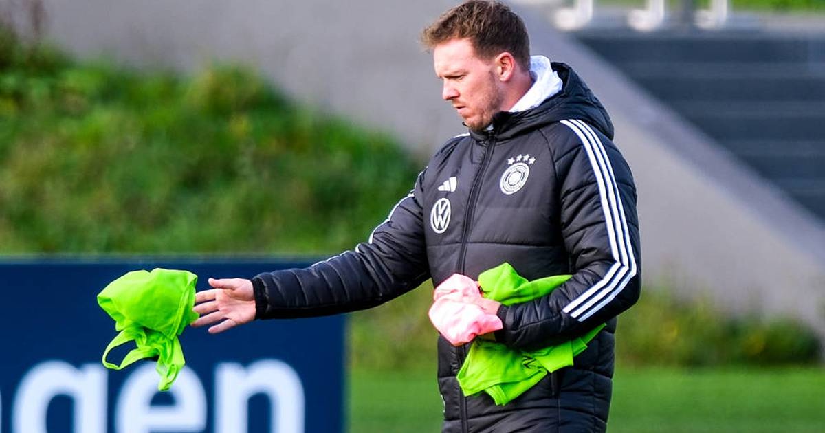 DFB-Team: Besondere Absprache zwischen DFB und BVB