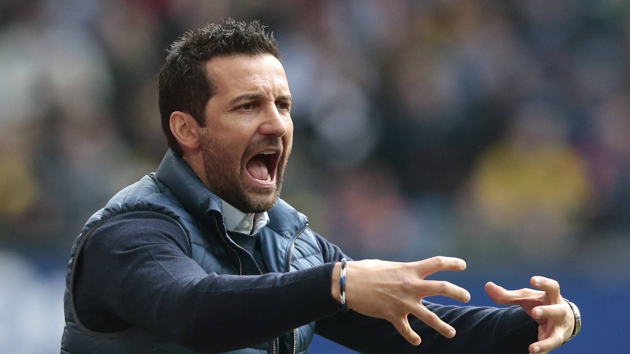 Zinnbauer zurück zur U23 des HSV