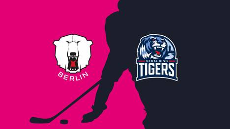 Eisbären Berlin - Straubing Tigers: Tore und Highlights | PENNY DEL