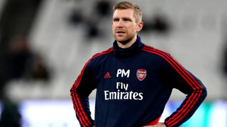 Per Mertesacker glaubt angesichts der Vielzahl deutscher Teammanager in der englischen Premier League an keinen Zufall.