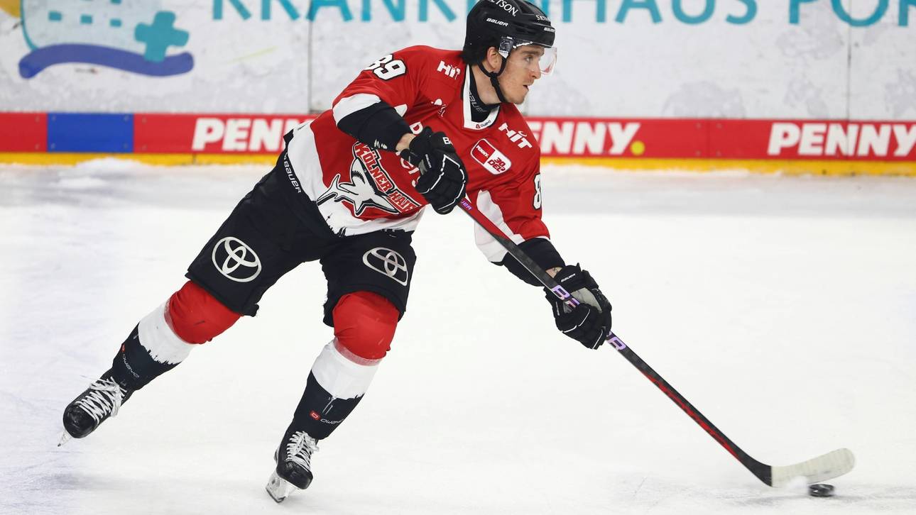 Haie verlängern mit Leistungsträger