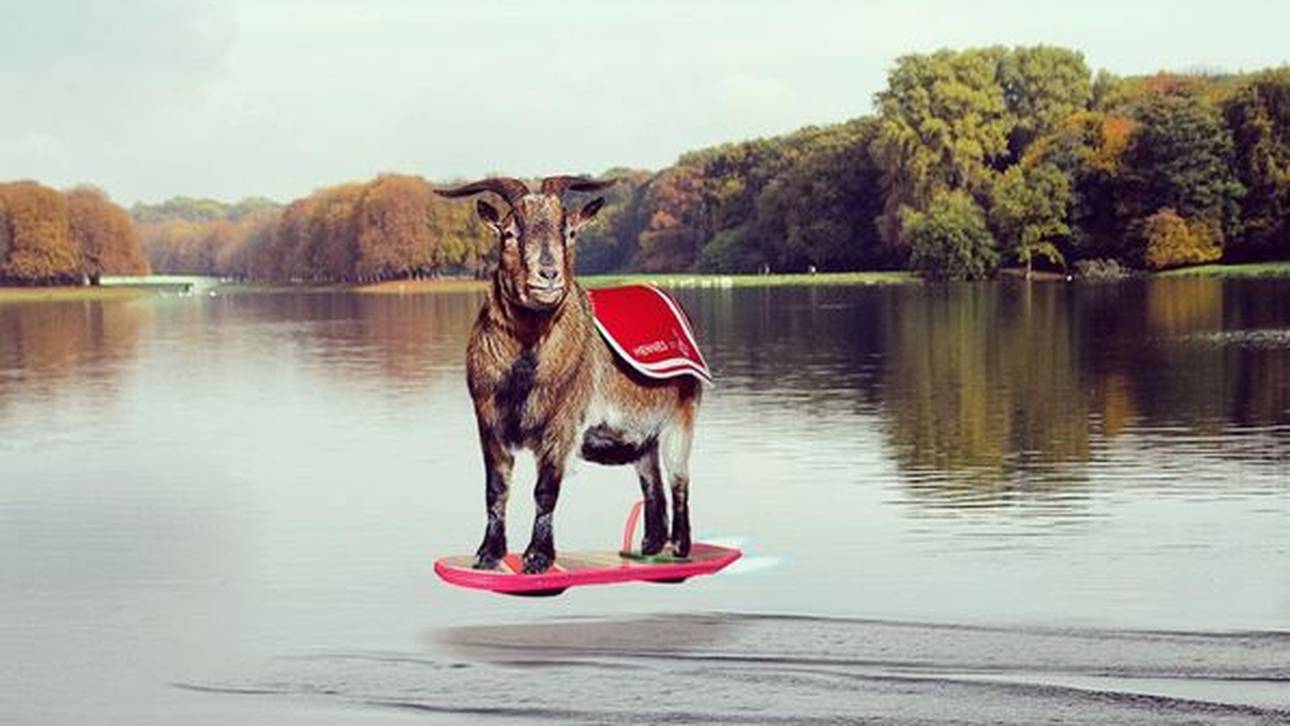 Sportler feiern „Back to the Future“