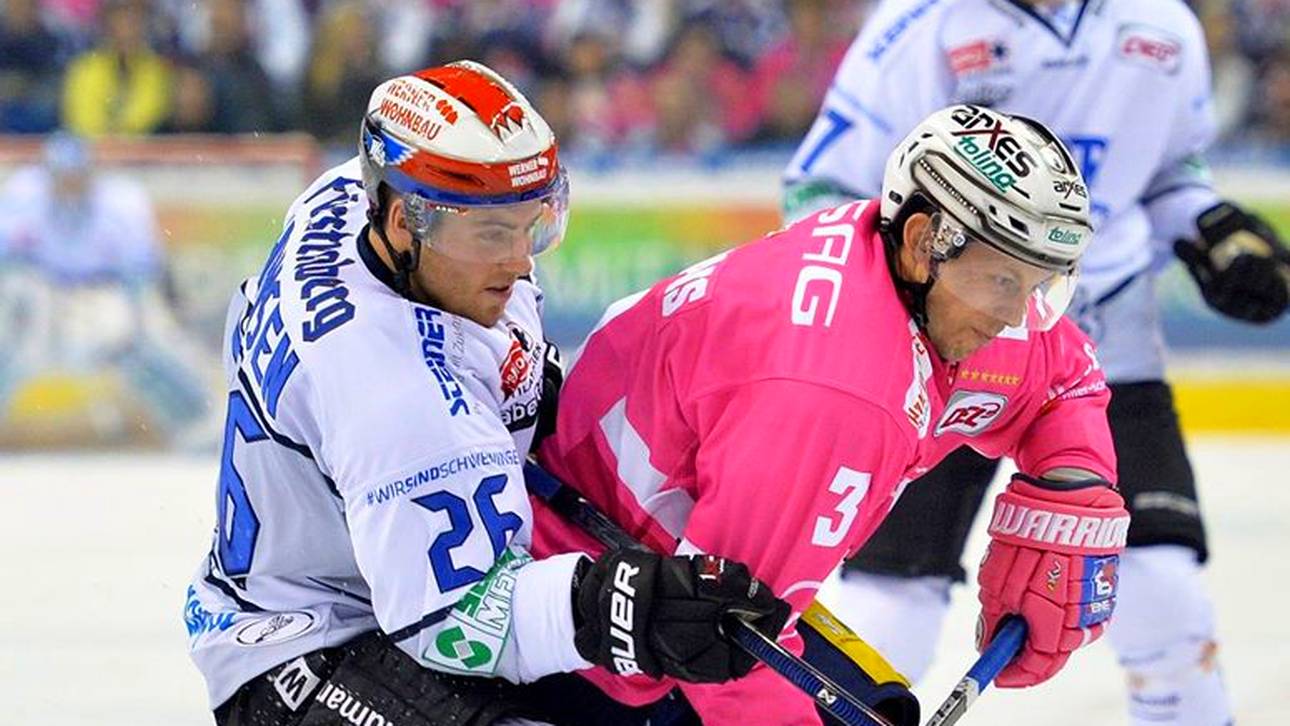 Wild Wings trennen sich von Hansen