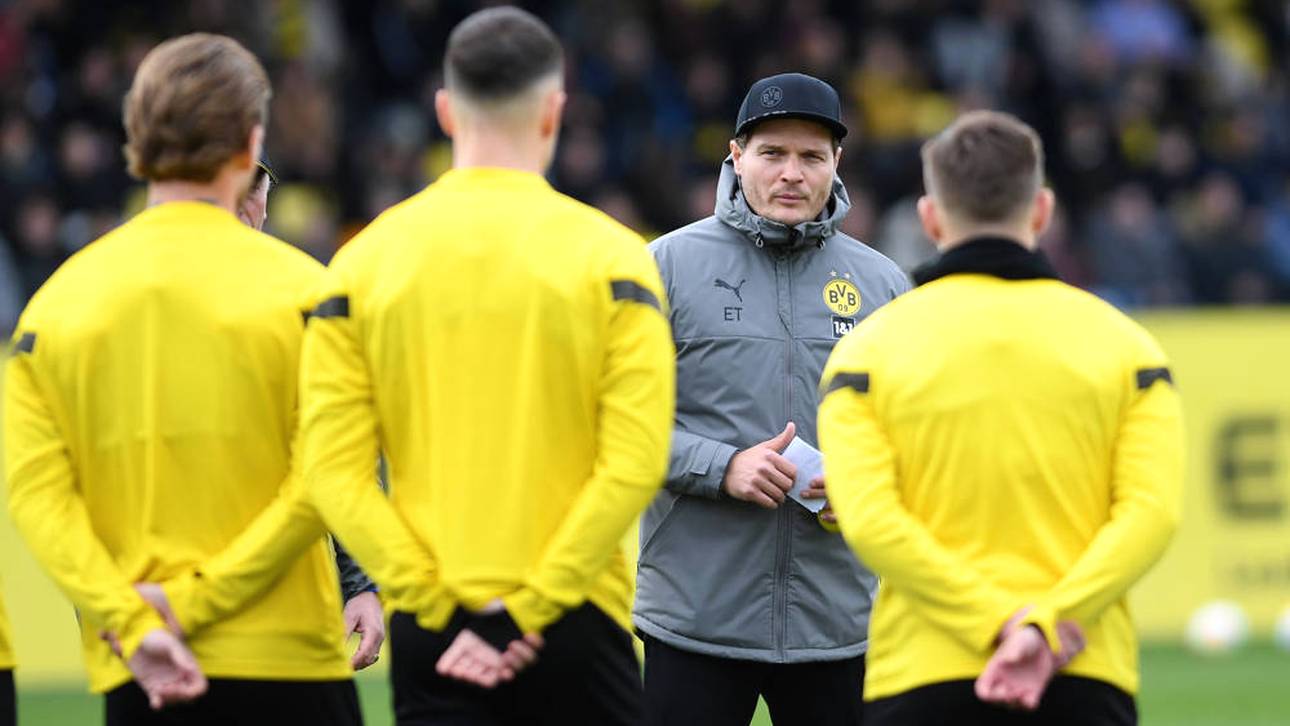 Sechs BVB-Stars zurück