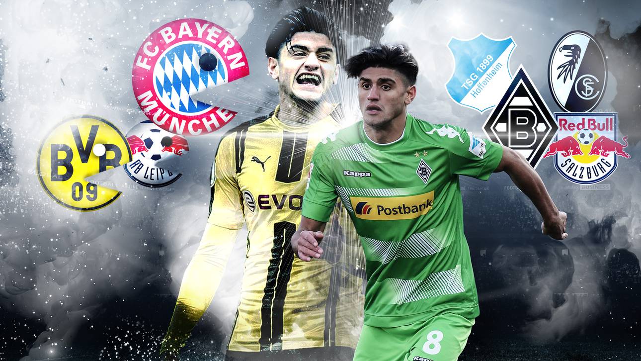 So läuft die Nahrungskette der Liga