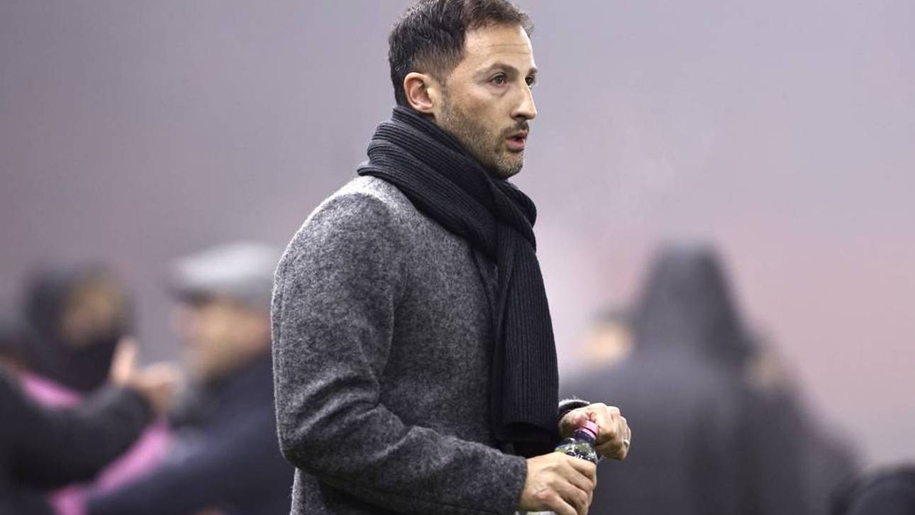 Domenico Tedesco beim Spiel Israel gegen Belgien in der UEFA Nations League