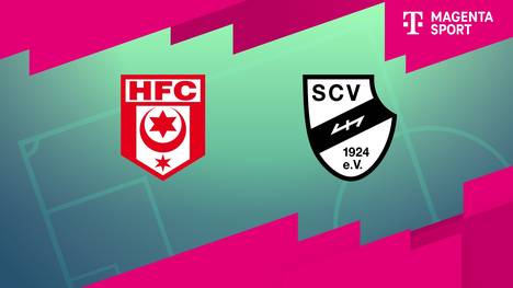 Hallescher FC - SC Verl: Tore und Highlights | 3. Liga