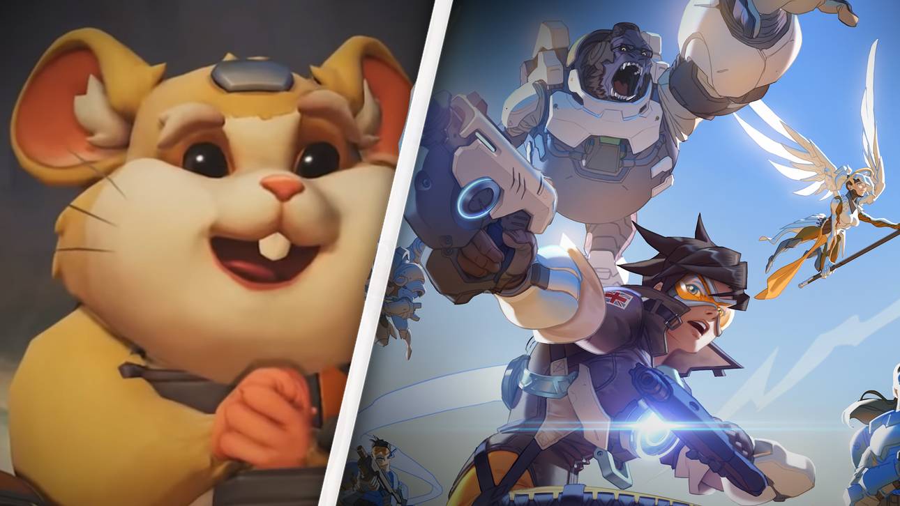 Overwatch: Hamster ist neuer Champion