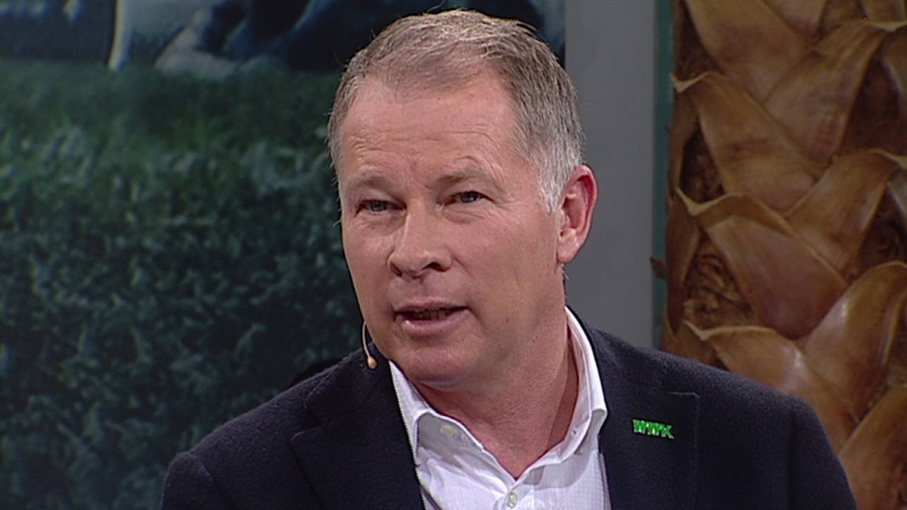 Reuter: Weinzierl fühlt sich wohl