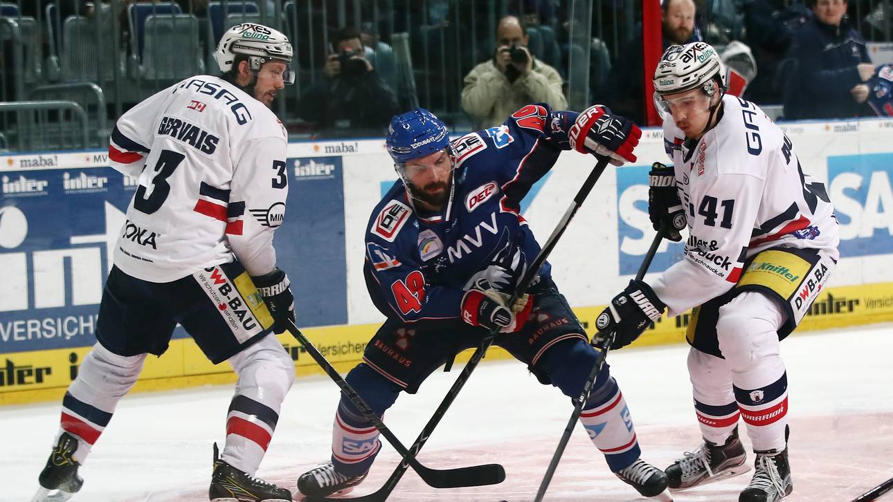 Aubry stürmt weiter für Eisbären