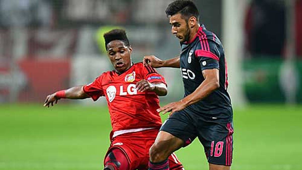 WENDELL - SPORT1-Note: 3,5