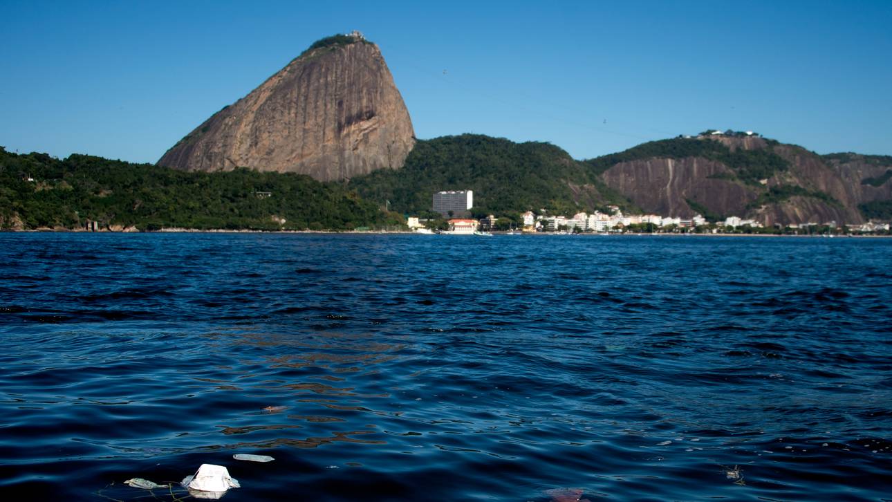 Ruderer zufrieden mit Wasser in Rio