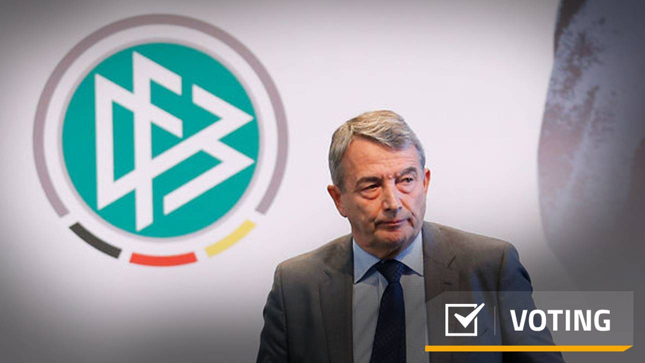 Wer soll neuer DFB-Präsident werden?