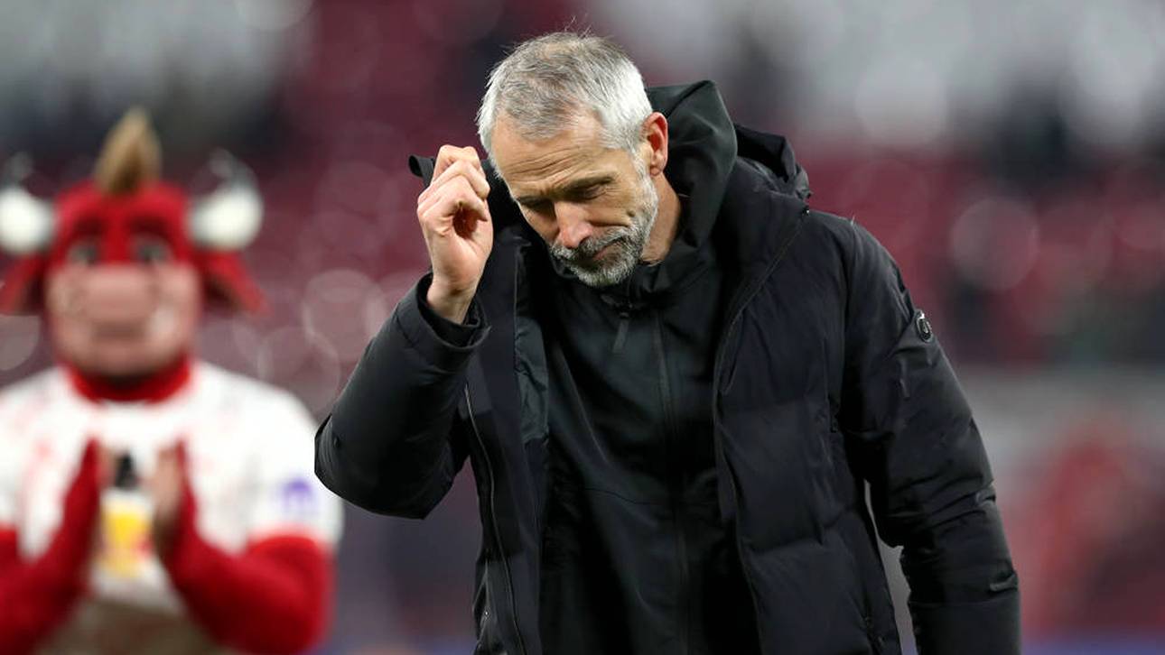 Fan-Aktion rührt Rose zutiefst