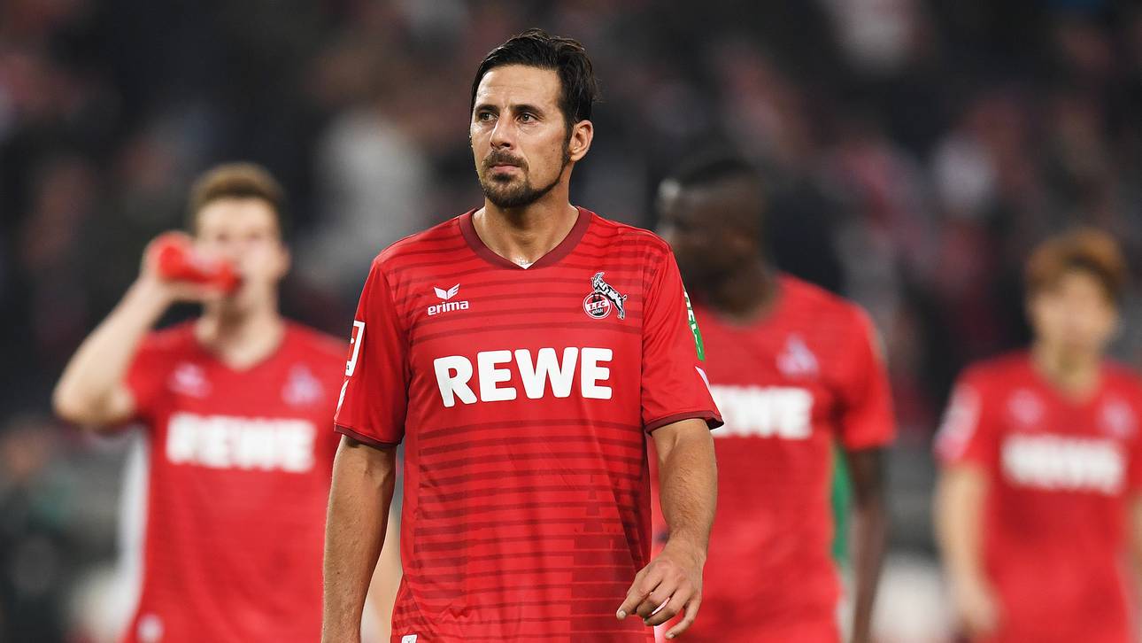 Köln braucht Punkte im Kellerduell