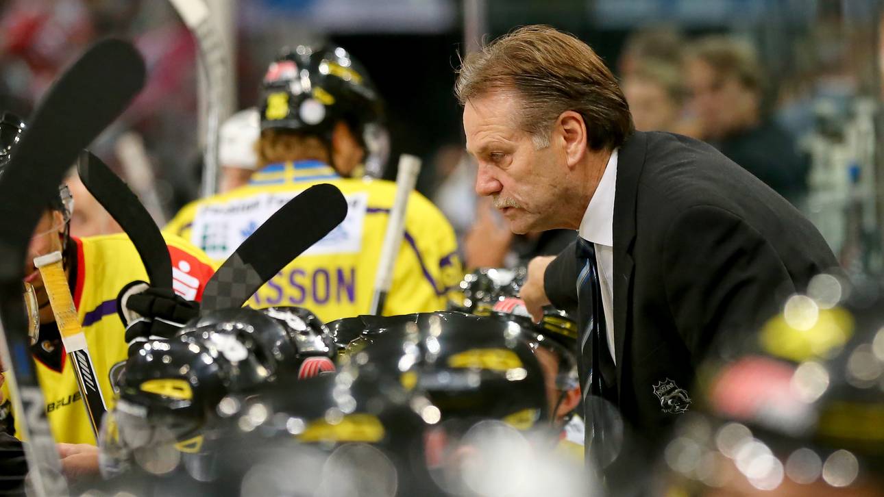 Pinguine setzen weiter auf Ness