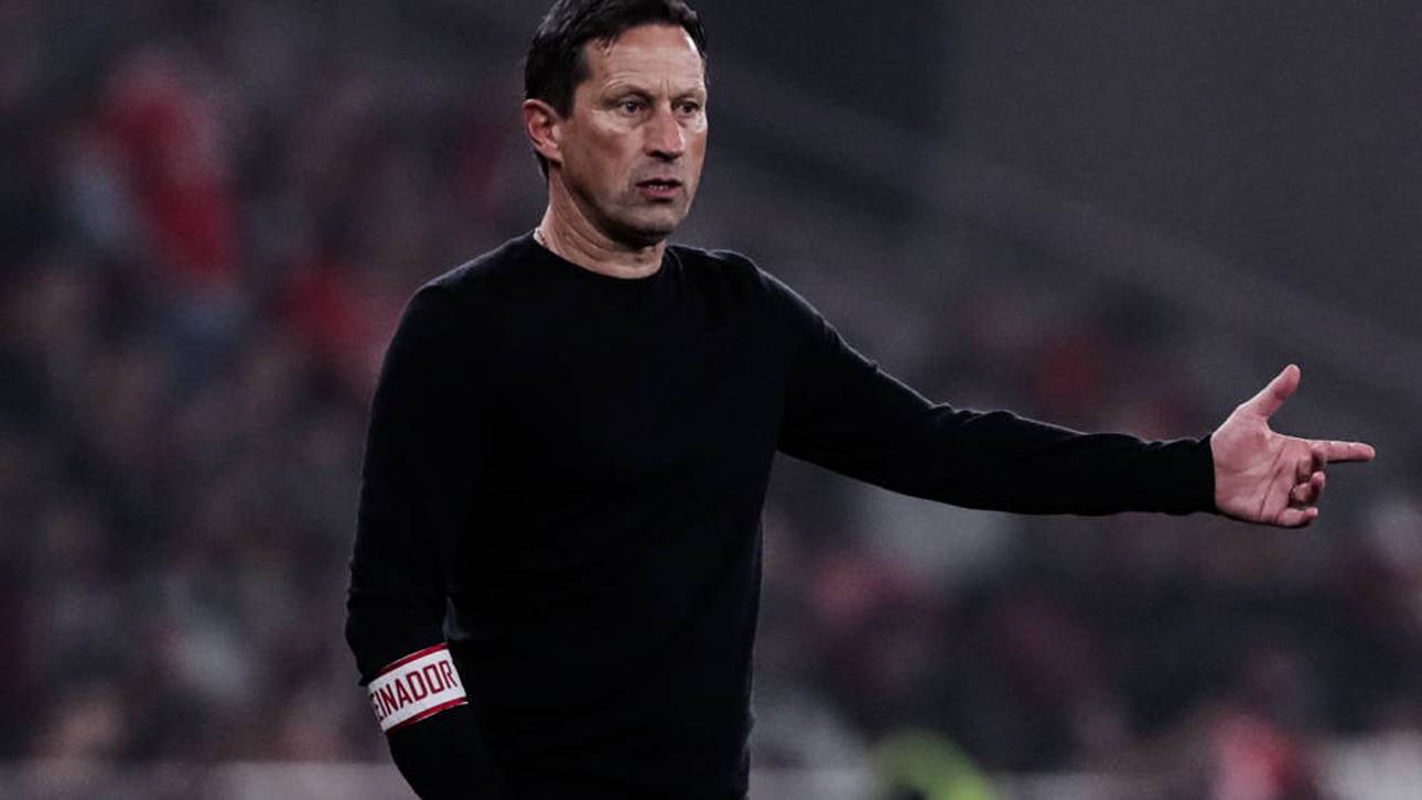 Schmidt verpasst Finale mit Benfica