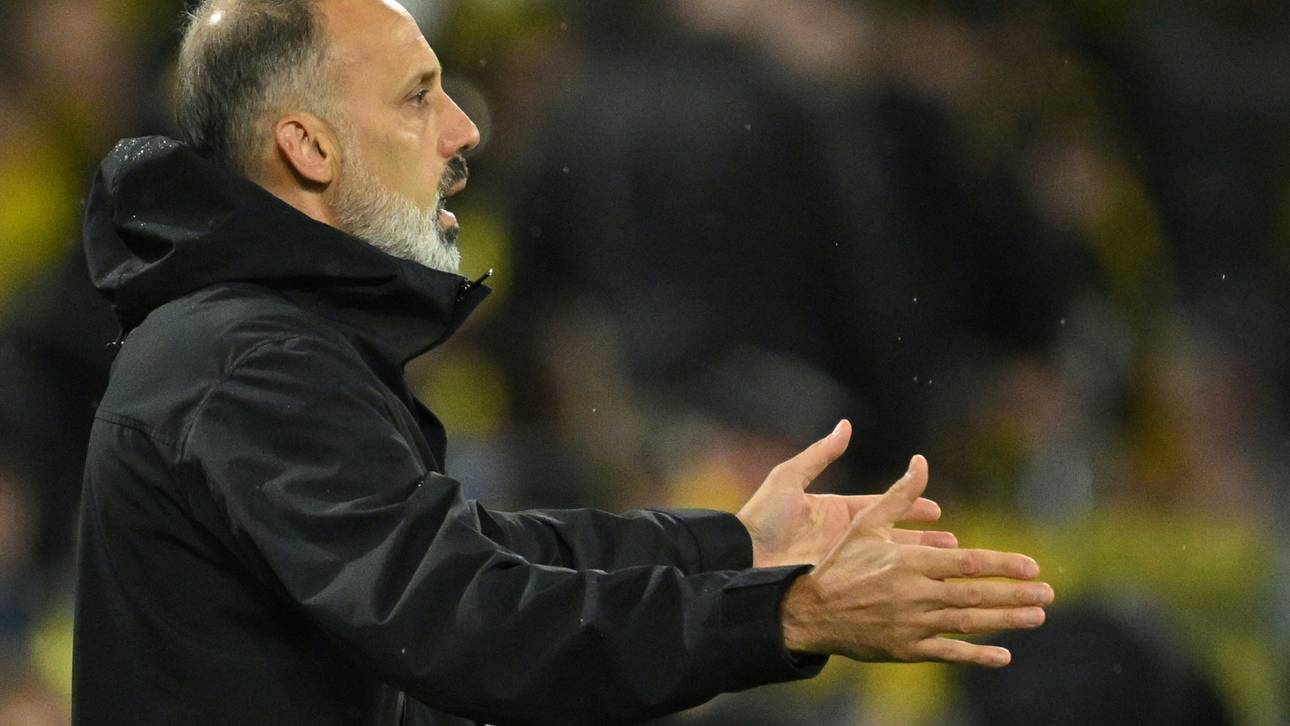 TSG-Negativserie: Matarazzo versteht Mentalitätsdebatte