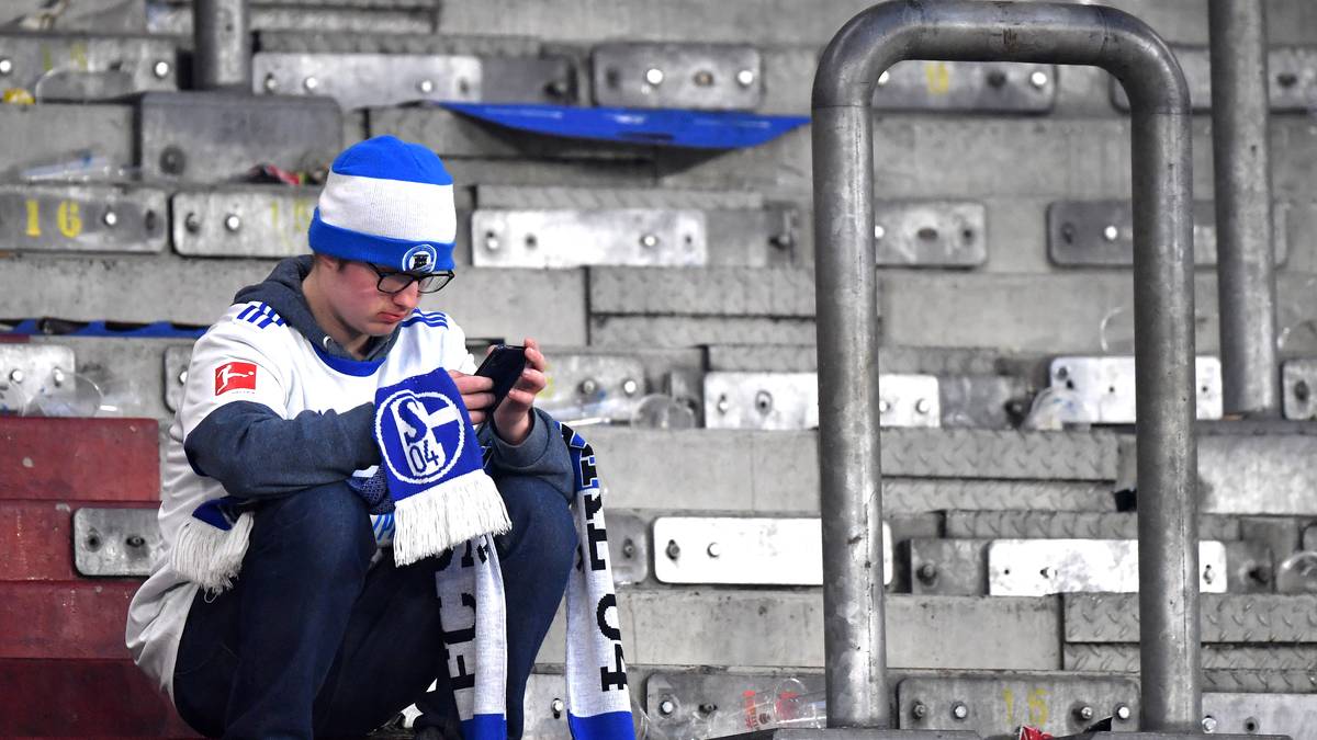 Wie es auf Schalke nun wohl weitergeht?