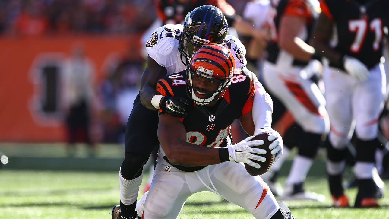 Cardinals verpflichten Pro Bowler