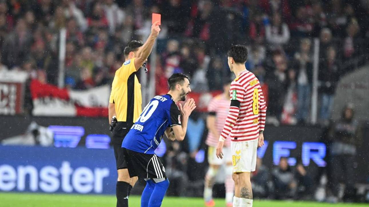 Die Gelb-Rote Karte gegen Fábio Vieira hatte laut Schiedsrichter Daniel Schlager "eine Vorgeschichte"