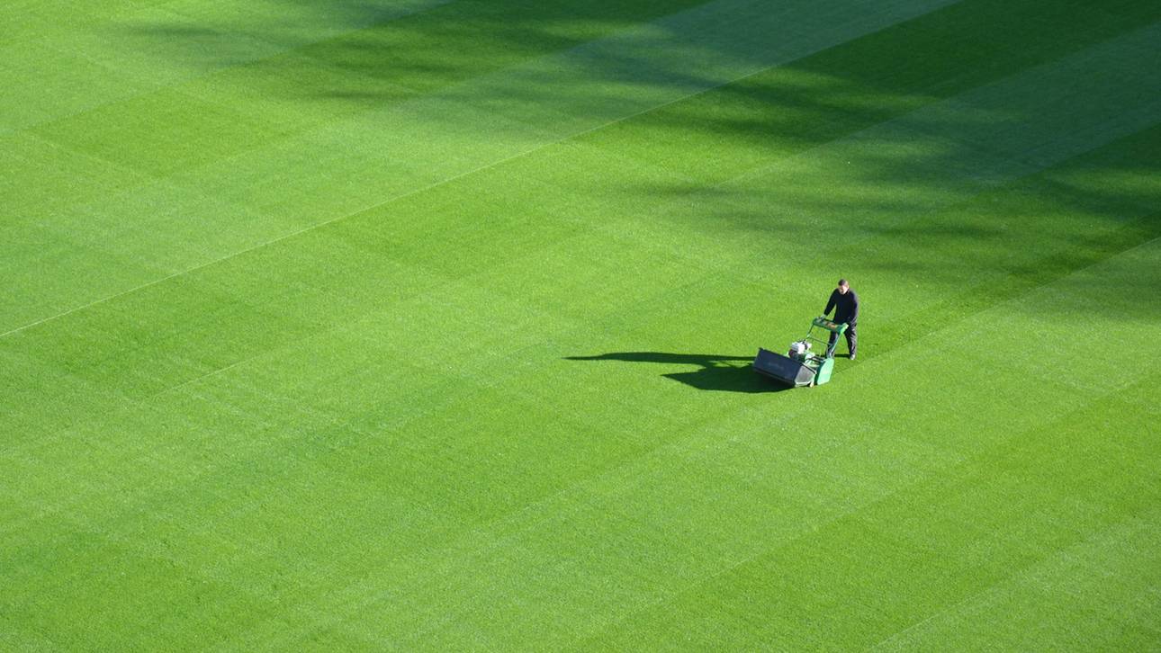 Gelingt der Dresden Aufstieg 2025? Das sagen die Buchmacher!