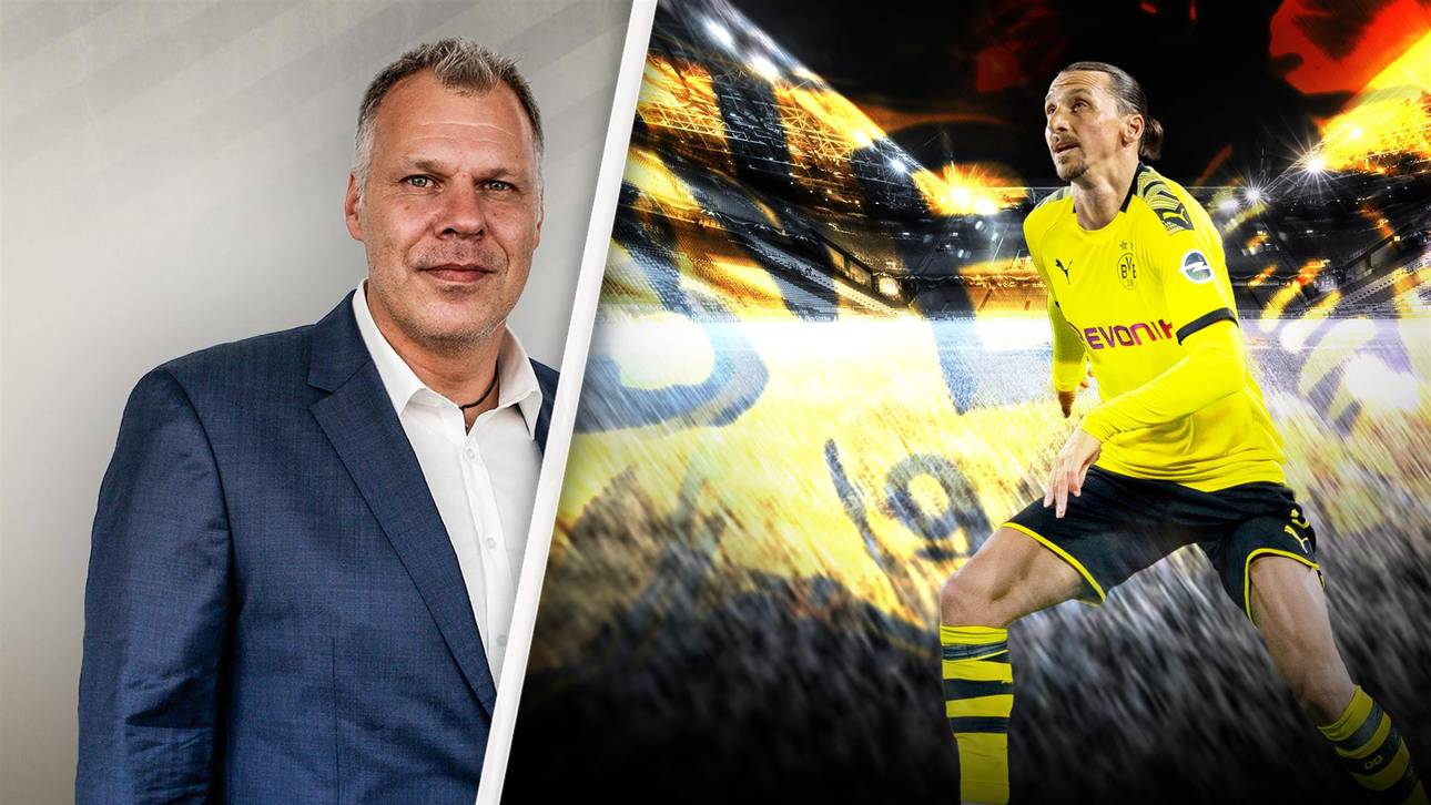 BVB sollte sich um Zlatan bemühen