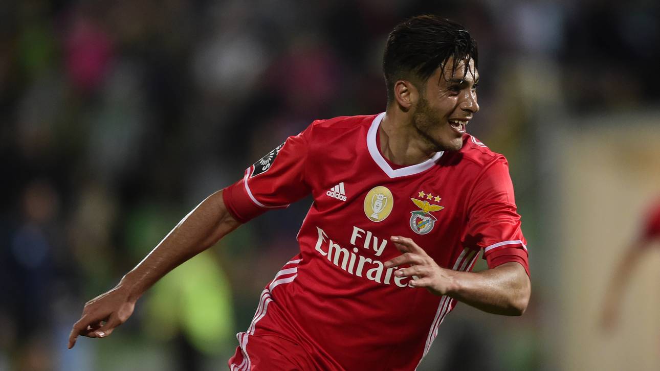 Benfica holt 36. Meistertitel