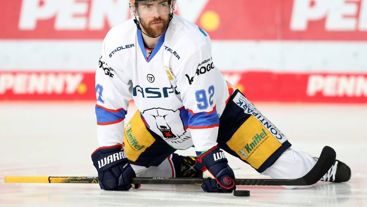 Eisbären-Krise: „Kampf ums Überleben“