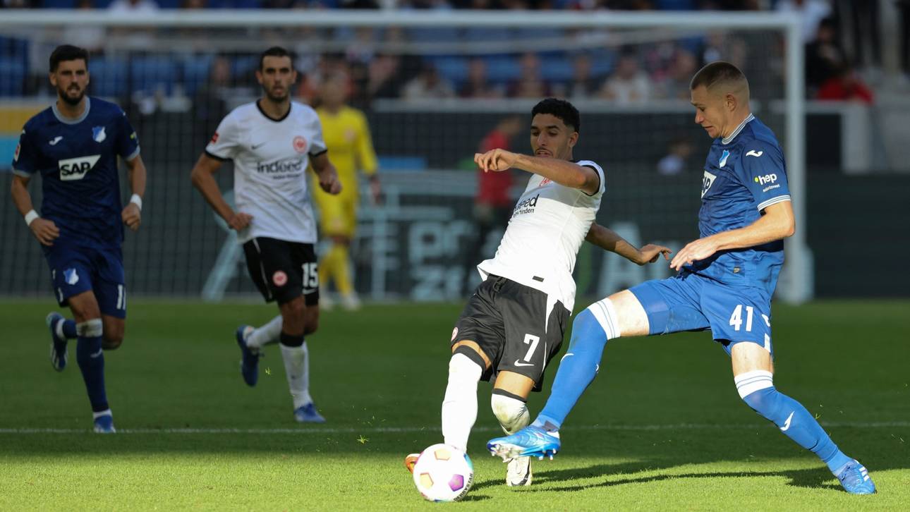 Fix! Freiburg holt Hoffenheim-Verteidiger