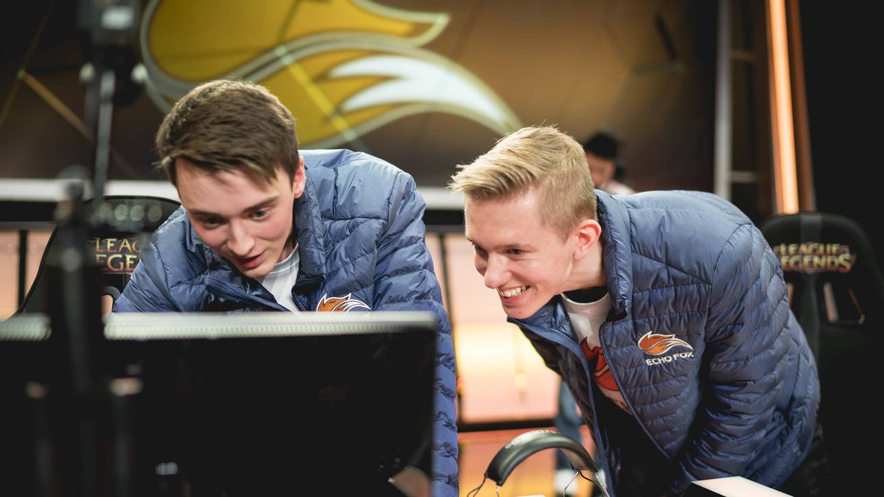 Froggen meldet sich zurück