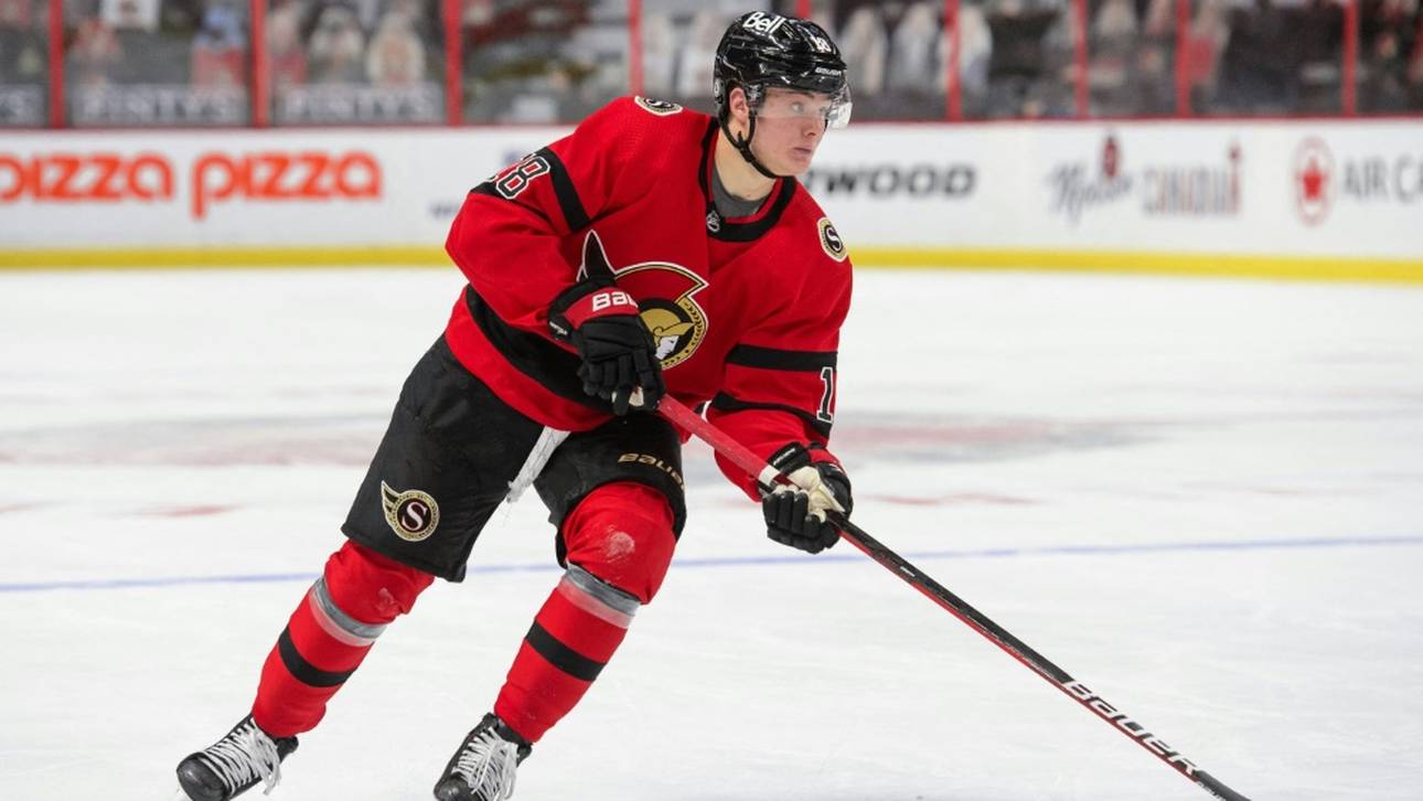 Pleiten für Stützle, Rieder und Greiss