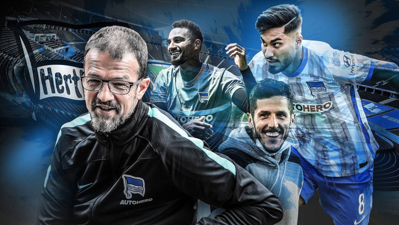 Herthas Glamour-Faktor dank Bobic