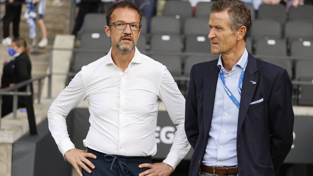 Wer wird neuer Hertha-Präsident?