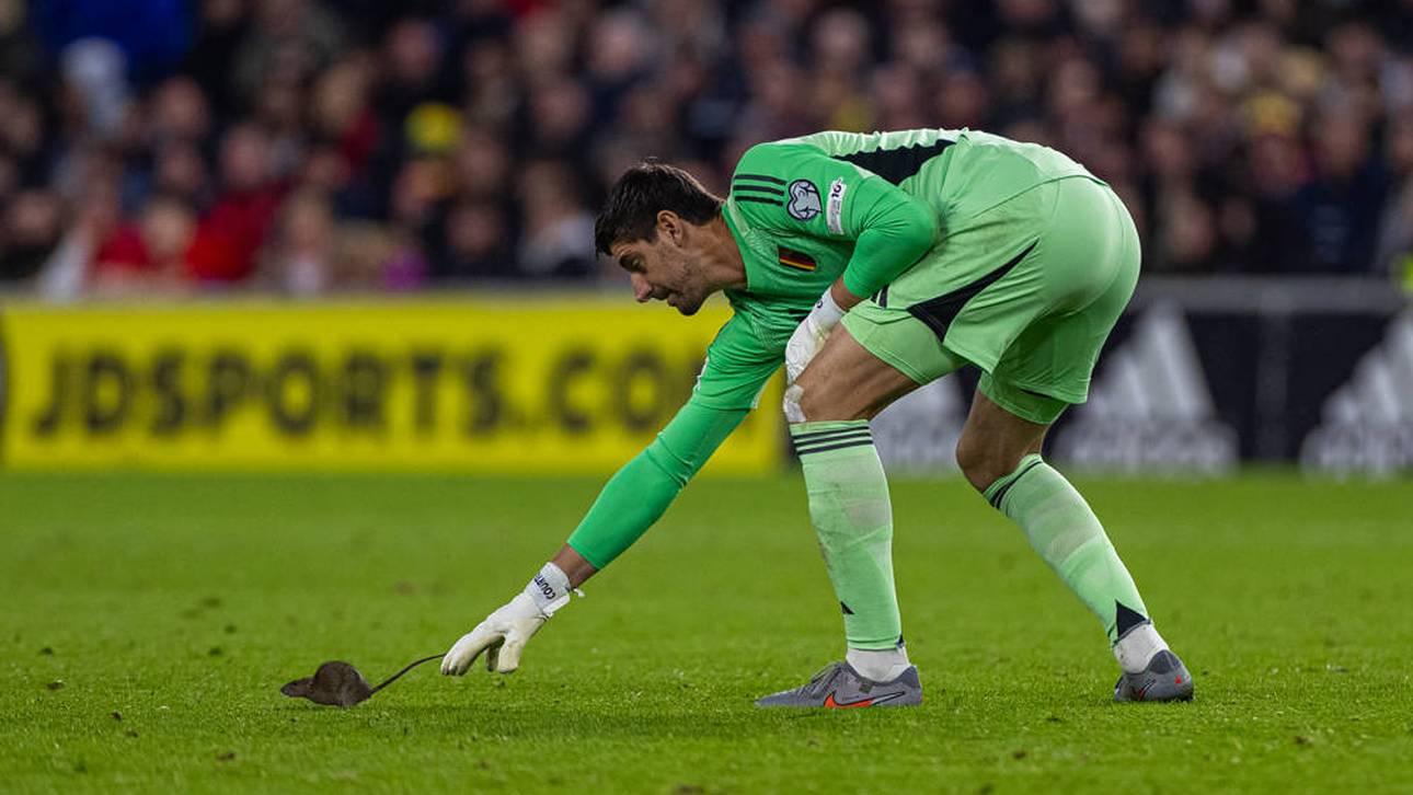 Ratten-Alarm in der WM-Qualifikation