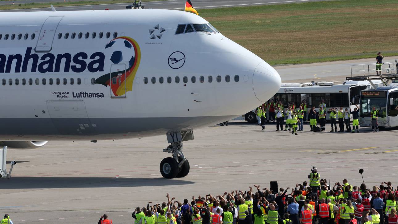Vogel beschädigt den Siegerflieger