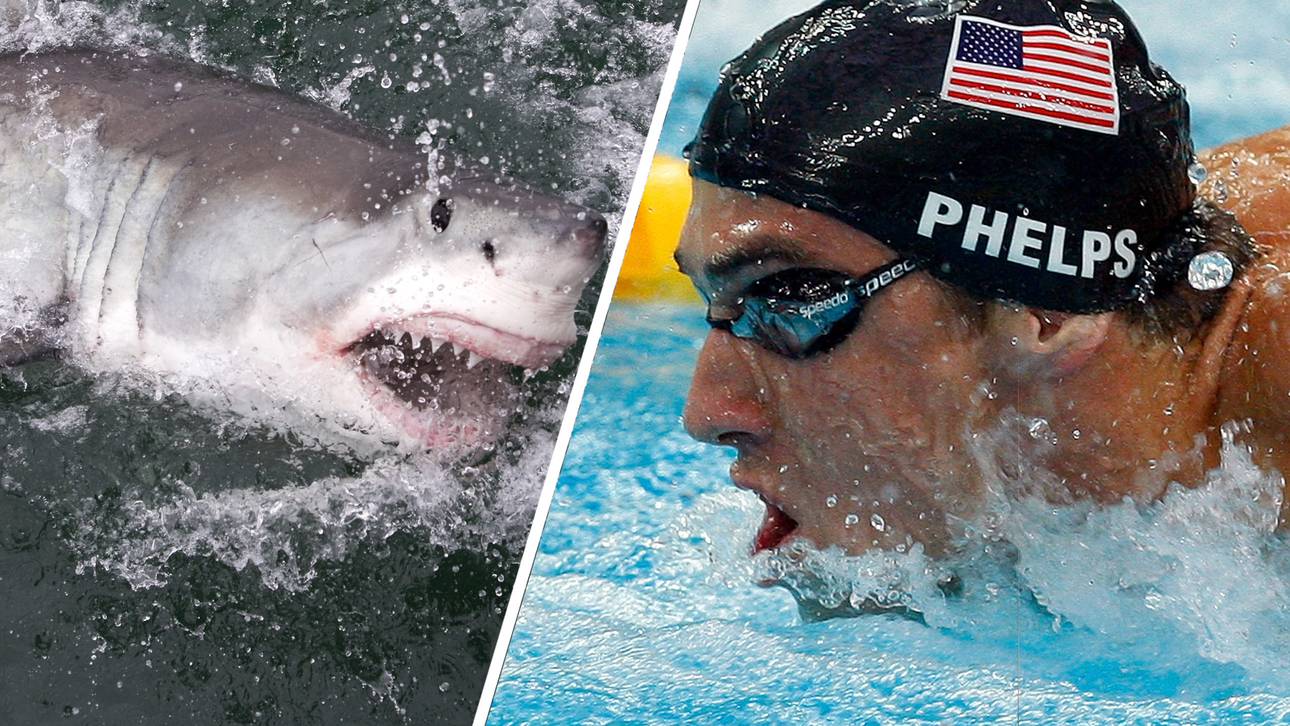 Phelps narrt Fans mit Digital-Hai