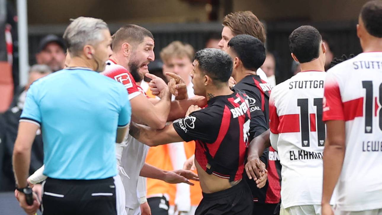 Massenrangelei! Bayer und VfB gehen sich an die Gurgel