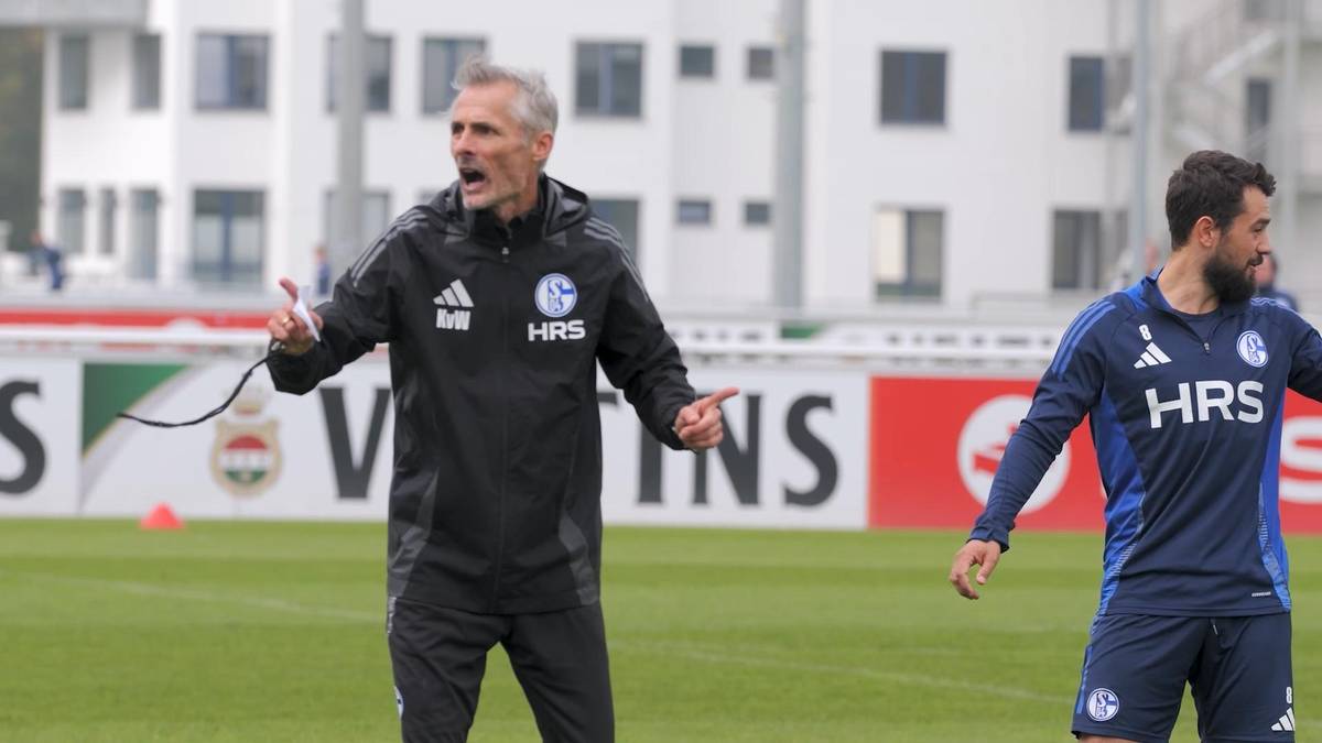 Schalkes Auftreten unter neuem Trainer: "Bedenklich!" 