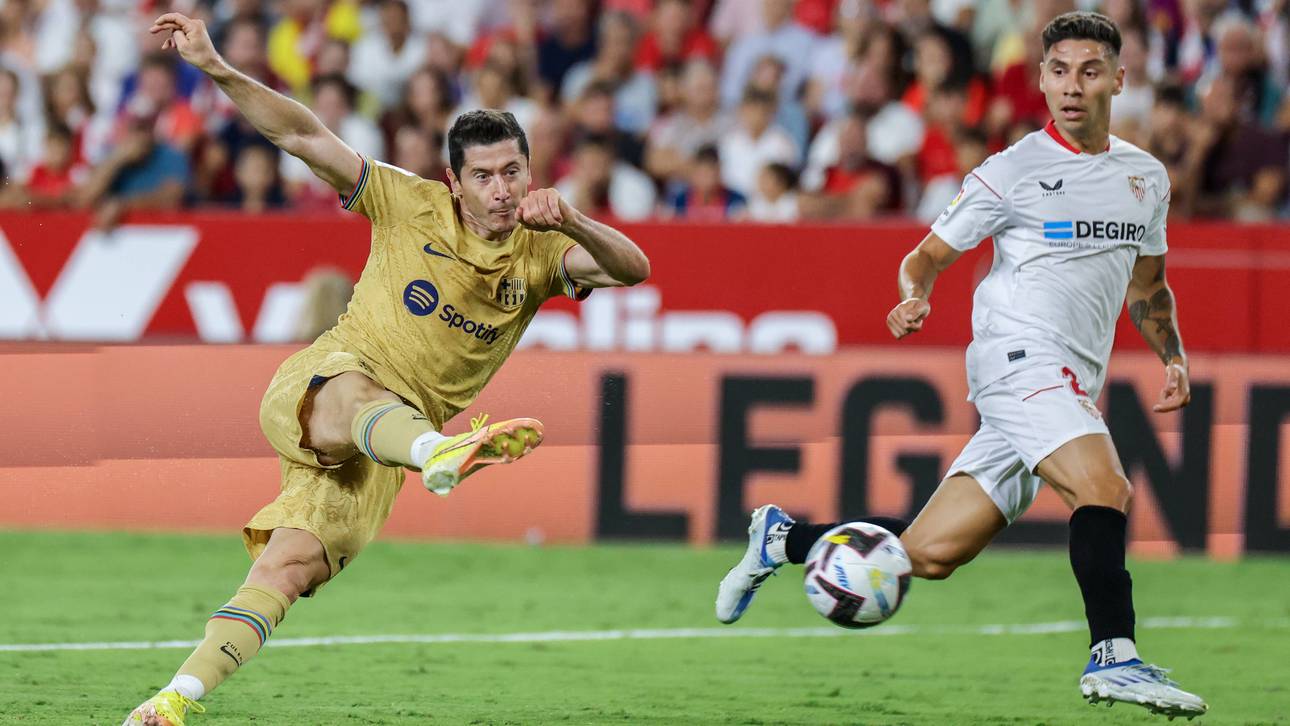 Lewandowskis Tor: „anderes Niveau“