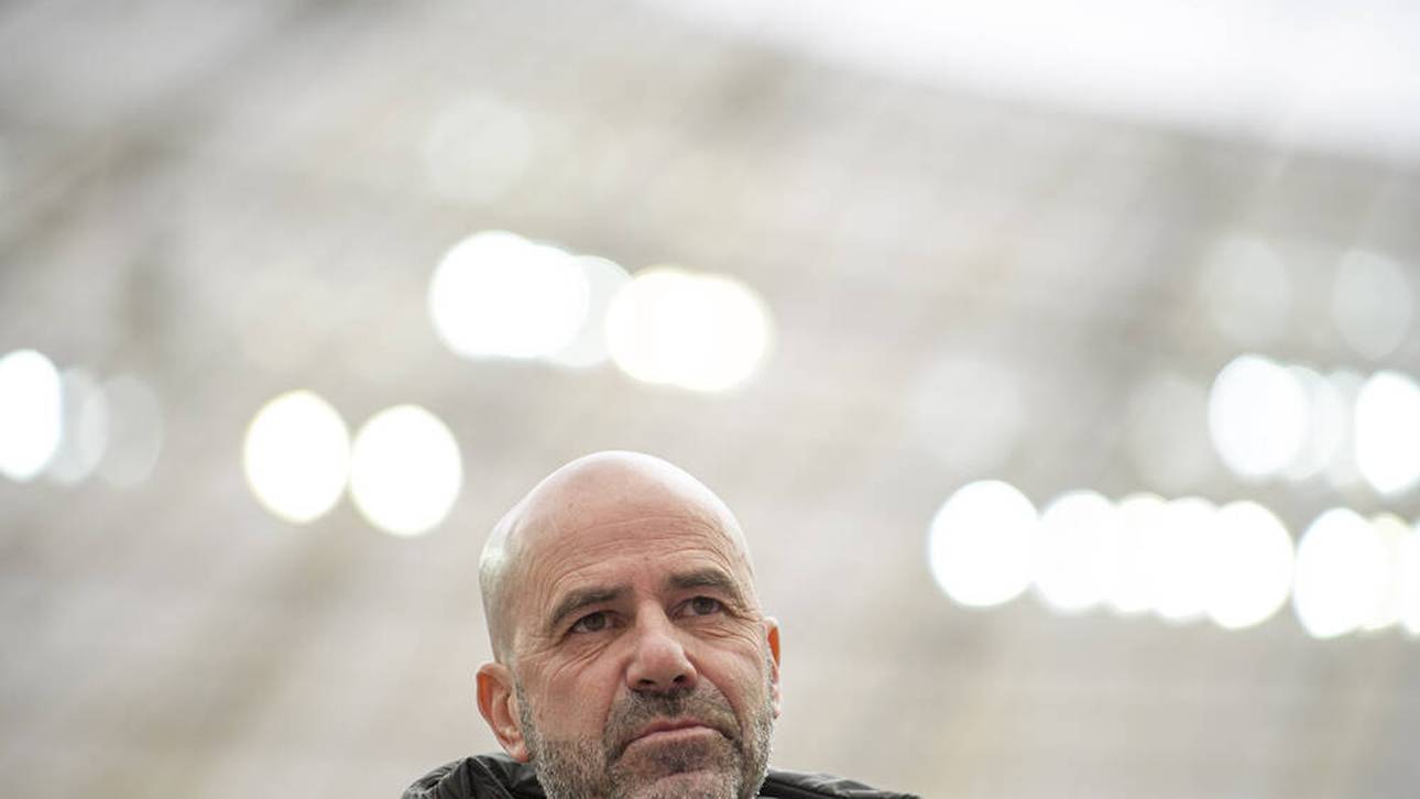 Darum wurde Bosz entlassen