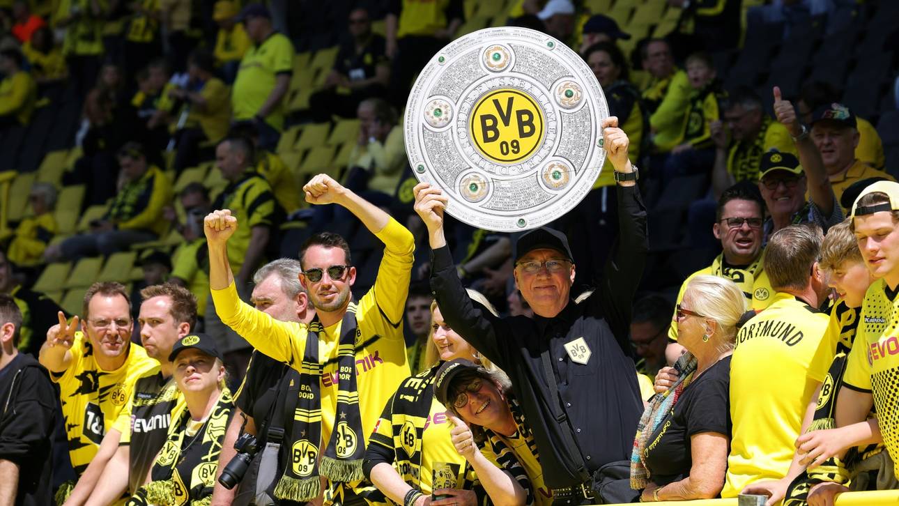 Bienenschwarm stört BVB-Übertragung
