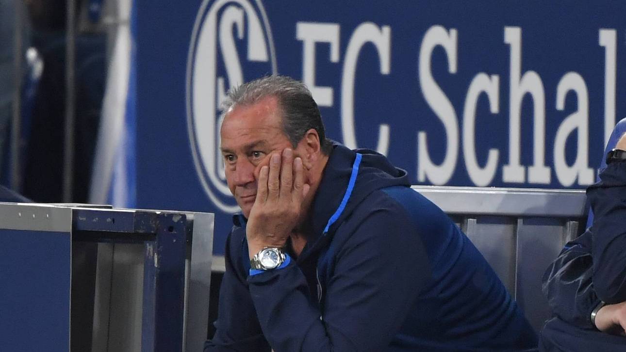 Stevens verzweifelt an Schalke