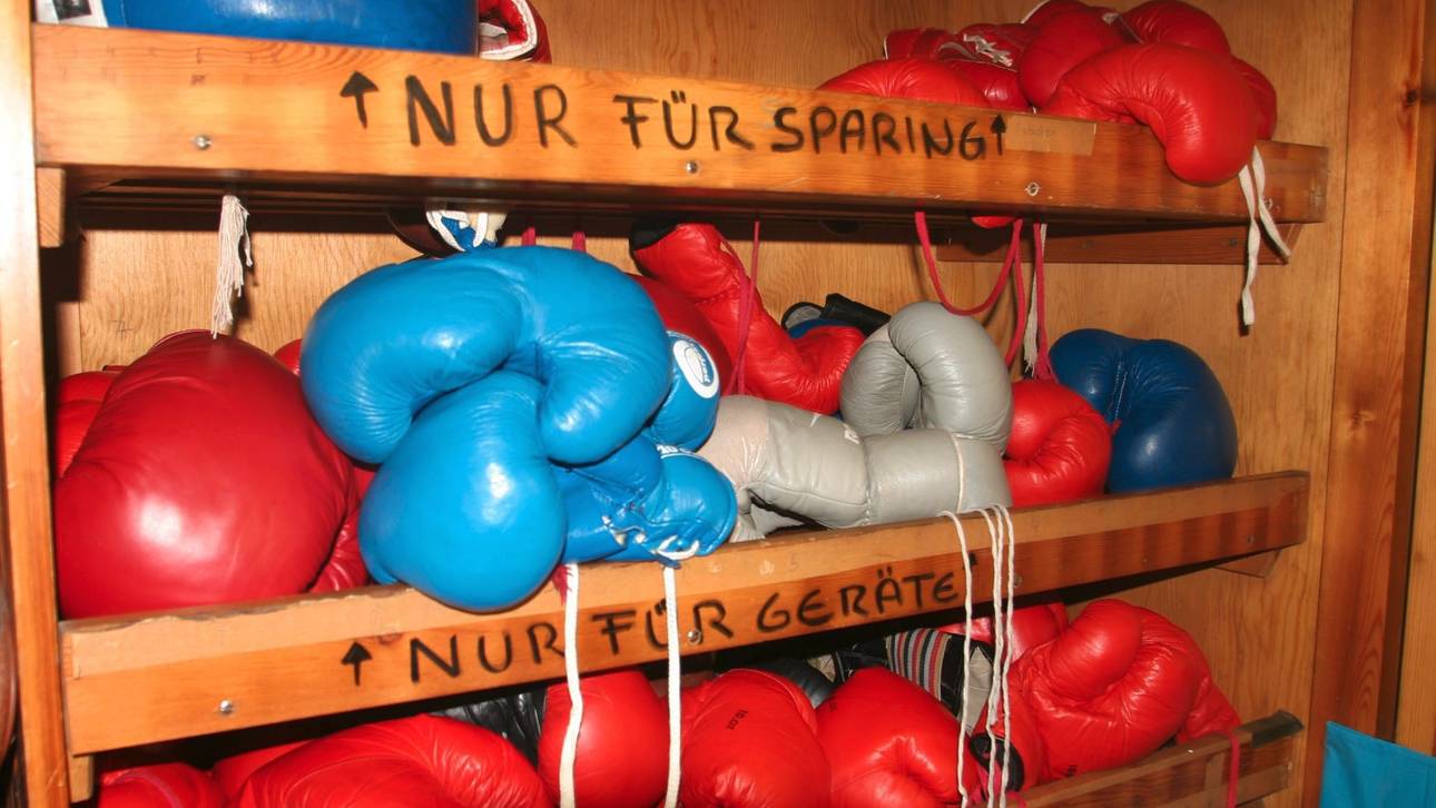 Leg dich nicht mit Boxern an!