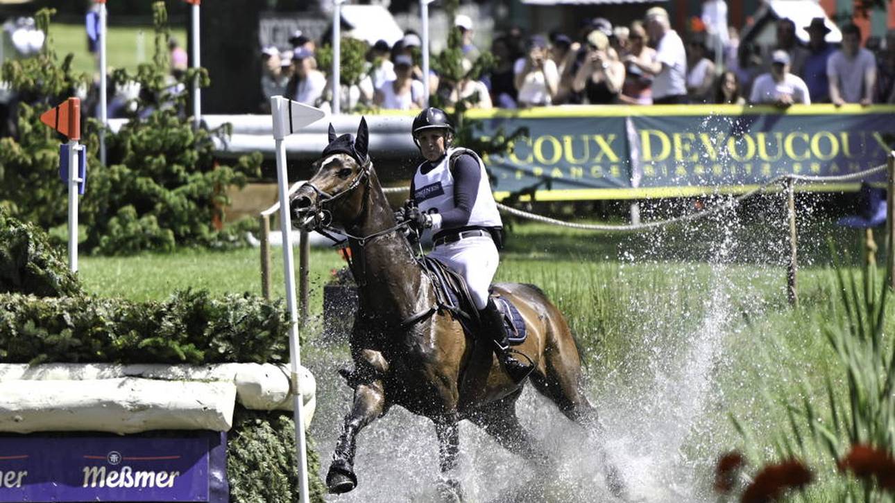 Drama: Warum das Pferd sterben musste